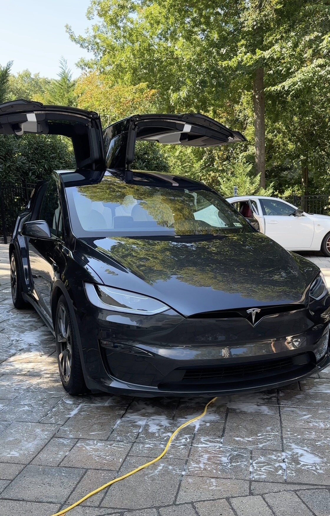 Full Detail